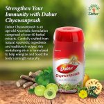 Chyavanprash - Image 2